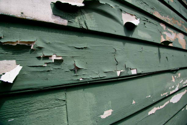 Best Residential Vinyl Siding Installation  in Newport News, VA